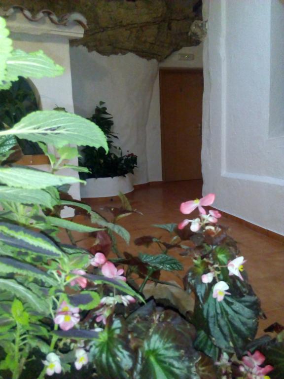 Hostal Batato Vejer de la Frontera Bagian luar foto
