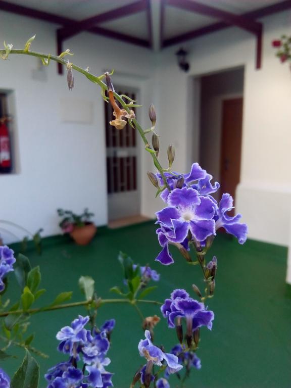 Hostal Batato Vejer de la Frontera Bagian luar foto
