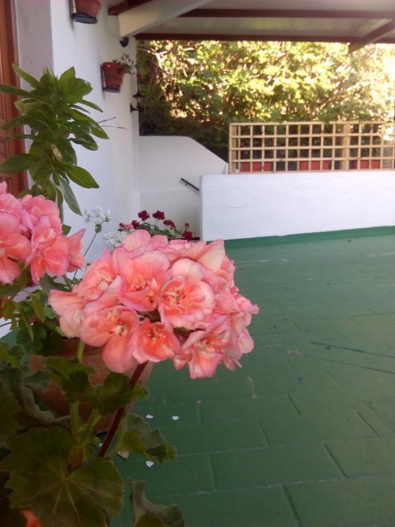 Hostal Batato Vejer de la Frontera Bagian luar foto