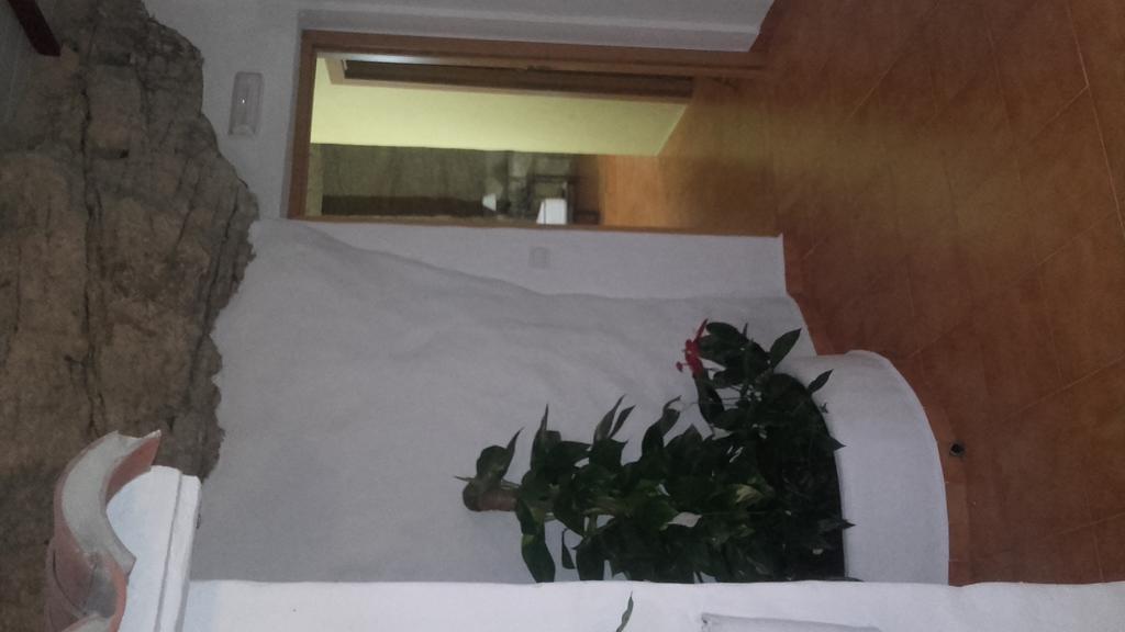 Hostal Batato Vejer de la Frontera Bagian luar foto