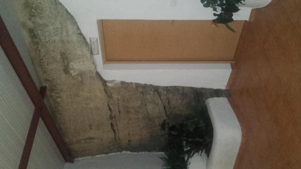 Hostal Batato Vejer de la Frontera Bagian luar foto