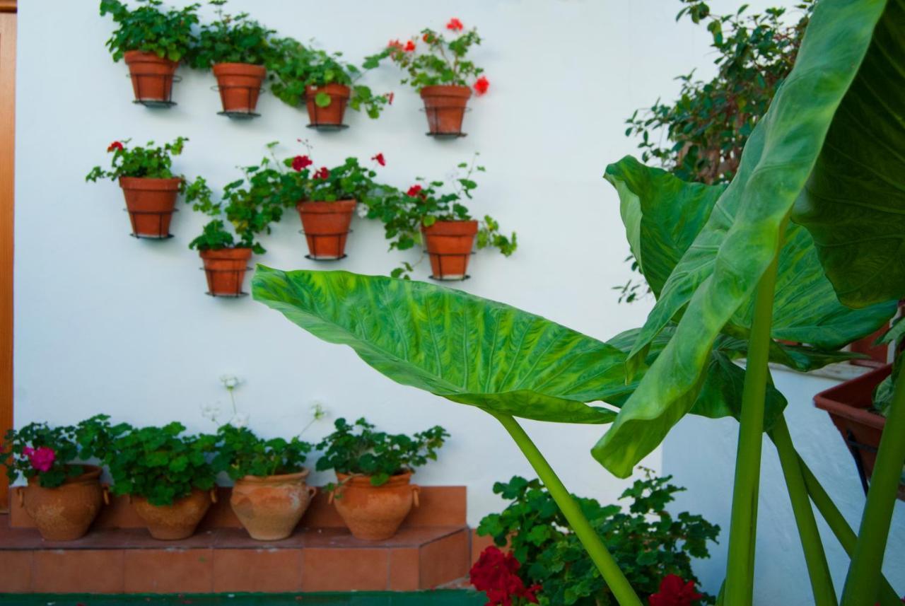 Hostal Batato Vejer de la Frontera Bagian luar foto