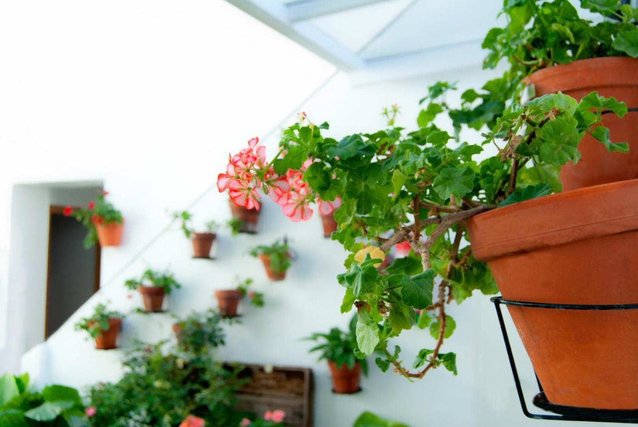 Hostal Batato Vejer de la Frontera Bagian luar foto